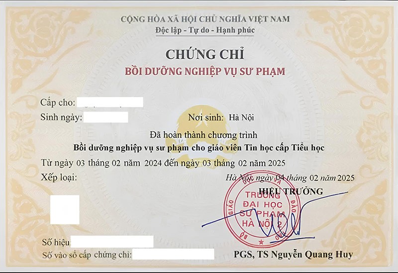 chứng chỉ nghiệp vụ sư phạm tiểu học