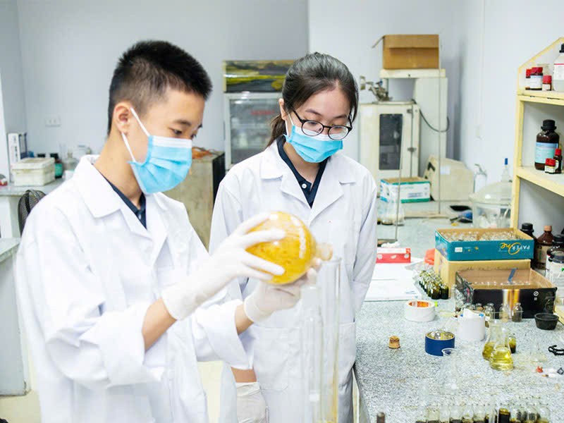 Chứng chỉ phương pháp nghiên cứu khoa học trong y học